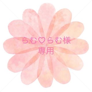 ＊らむ♡らむ様専用＊(小動物)