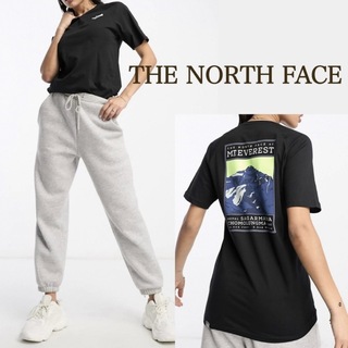 ザノースフェイス(THE NORTH FACE)の【タグ付き新品】THE NORTH FACE  ロゴTシャツ トップス(Tシャツ(半袖/袖なし))