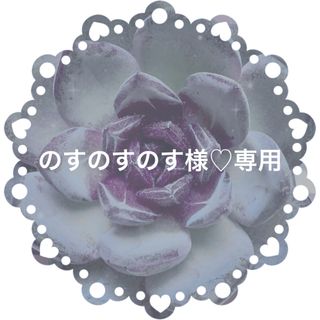 のすのすのす様♡専用(その他)