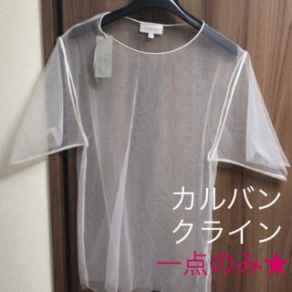 カルバンクライン(Calvin Klein)のラス1★新品未使用！カルバンクライン シンプル無地 シースルートップス ホワイト(Tシャツ/カットソー(半袖/袖なし))