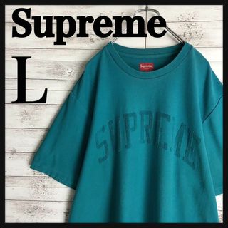 シュプリーム(Supreme)の8767【希少Lサイズ】シュプリーム☆パイル地アーチロゴ人気カラーtシャツ　美品(Tシャツ/カットソー(半袖/袖なし))