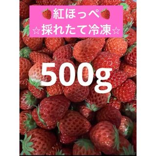 ⭐︎紅ほっぺ⭐︎冷凍いちご500g⭐︎採れたて苺を冷凍⭐︎加工用に最適⭐︎(フルーツ)