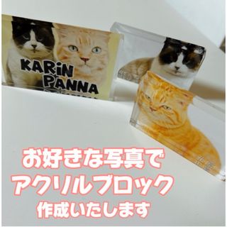 オリジナル 写真 アクリルブロック(おもちゃ/ペット小物)