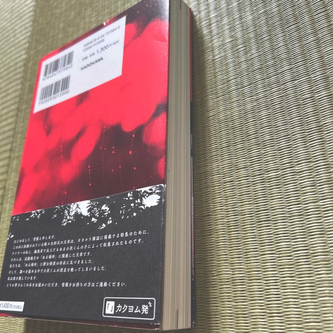 近畿地方のある場所について　1冊 エンタメ/ホビーの本(文学/小説)の商品写真