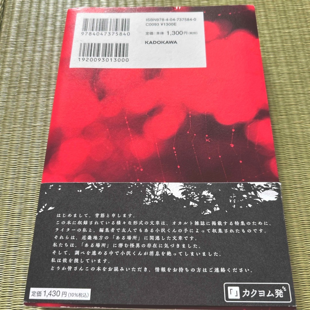 近畿地方のある場所について　1冊 エンタメ/ホビーの本(文学/小説)の商品写真