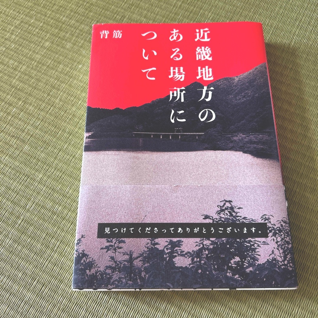 近畿地方のある場所について　1冊 エンタメ/ホビーの本(文学/小説)の商品写真