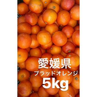 愛媛県産　ブラッドオレンジ　柑橘　5kg(フルーツ)