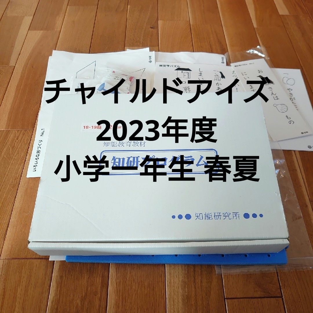 知研ボックス １年生用 前期 チャイルドアイズの通販 by かな's shop