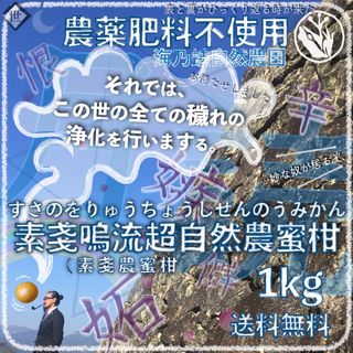 素戔嗚流超自然農蜜柑 10kg 1〜3年目 海乃蛙自然農園 農薬肥料不使用みかん