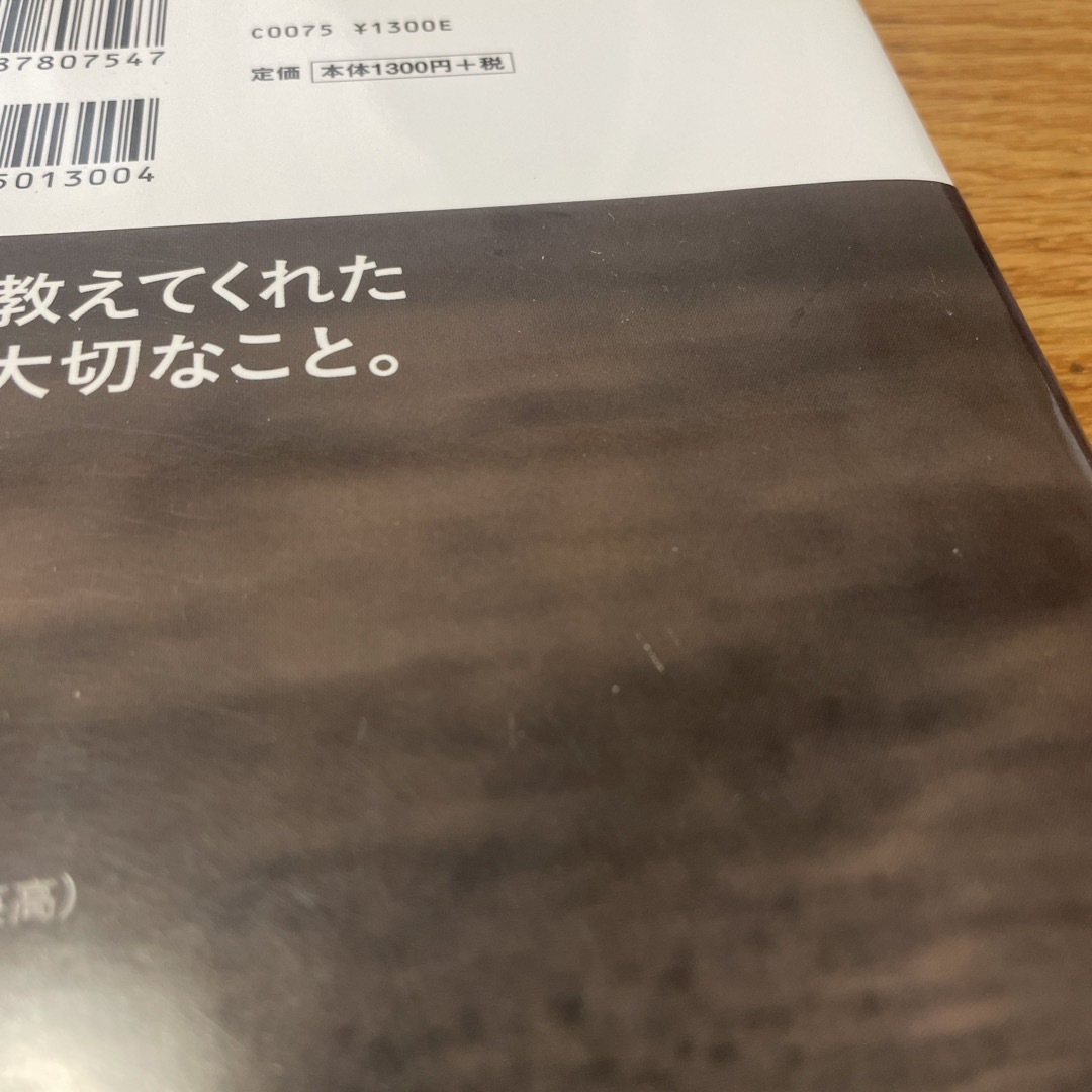 集英社(シュウエイシャ)のことだま エンタメ/ホビーの本(文学/小説)の商品写真