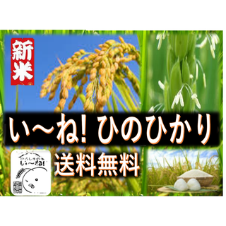 土日限定！鹿児島県ど田舎産 令和5年産 無農薬米ヒノヒカリ 4.2kg♪の