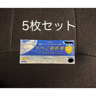 高鷲スノーパーク&ダイナランド 共通1日券 5枚セットの通販｜ラクマ