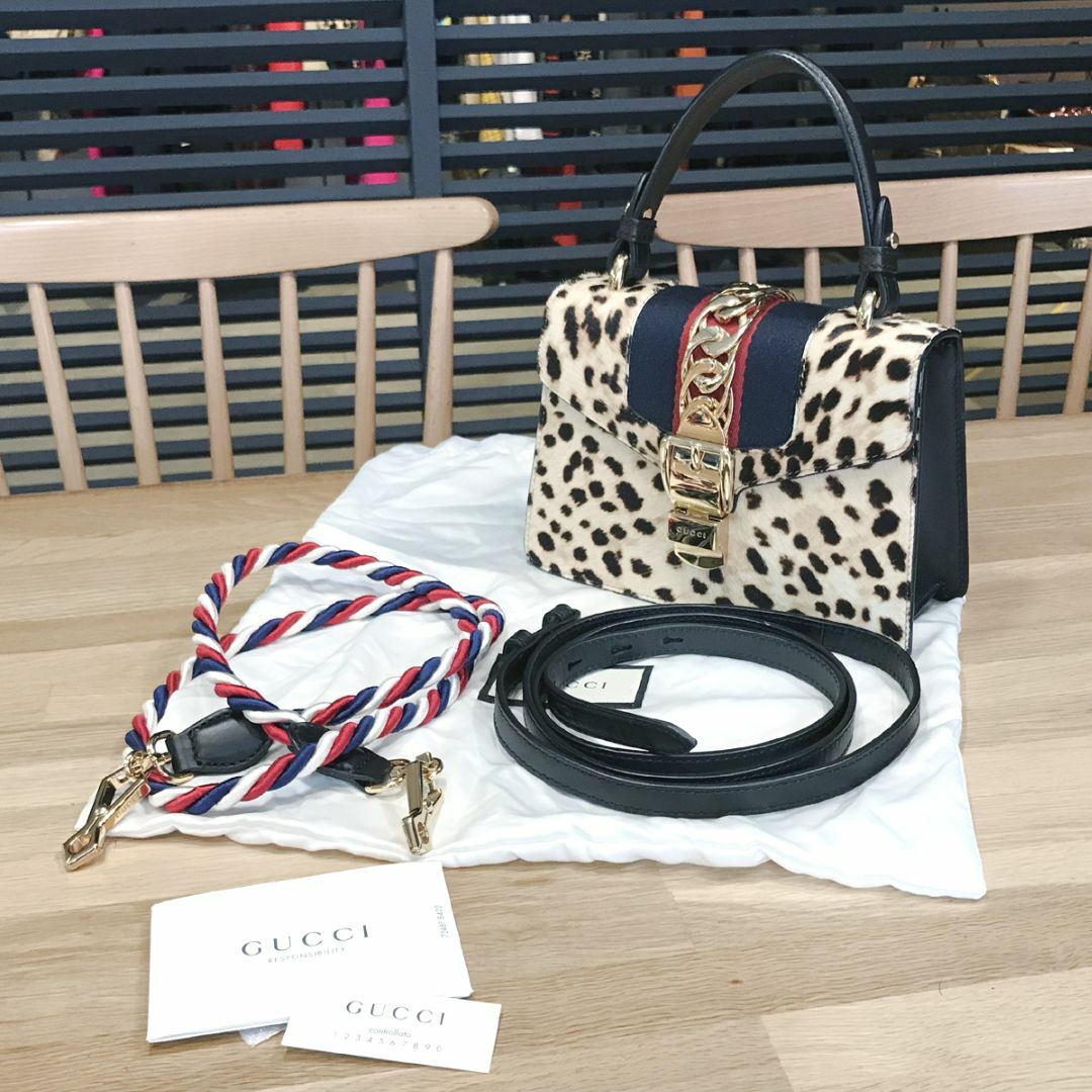 Gucci(グッチ)の超美品 シルヴィ 2WAY ミニ ハンドバッグ ショルダーバッグ ハラコ レディースのバッグ(ハンドバッグ)の商品写真