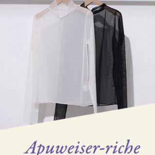 アプワイザーリッシェ(Apuweiser-riche)のアプワイザー　ノベルティーブラック(カットソー(長袖/七分))