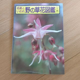 野の草花図鑑(趣味/スポーツ/実用)