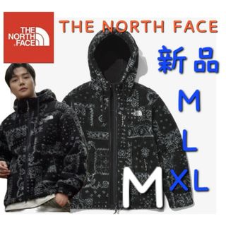 ザノースフェイス(THE NORTH FACE)のノースフェイス フリースジャケット 新品 ボア ペイズリー柄 アウター Ｍ(ブルゾン)