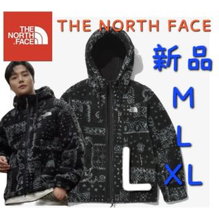 ザノースフェイス(THE NORTH FACE)のノースフェイス フリースジャケット 新品 ボア ペイズリー柄 アウター L(ブルゾン)