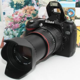 ショット数1544回!! 望遠レンズセット♪ Nikon D80 #6431毎日発送のメルカメラ