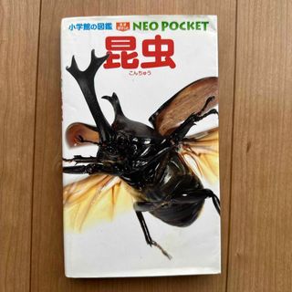 小学館の図鑑　ネオぽけっと　昆虫(絵本/児童書)