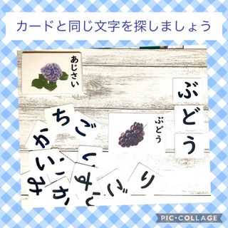 文字探しのお仕事　モンテッソーリ 国語(知育玩具)