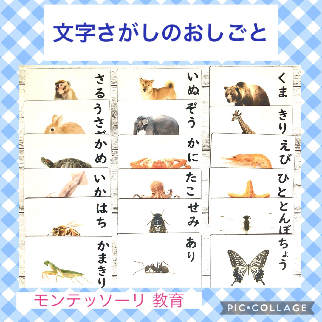 文字さがしのおしごと　国語　家庭学習 キッズ/ベビー/マタニティのおもちゃ(知育玩具)の商品写真