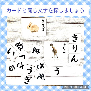 文字さがしのおしごと　国語　家庭学習(知育玩具)