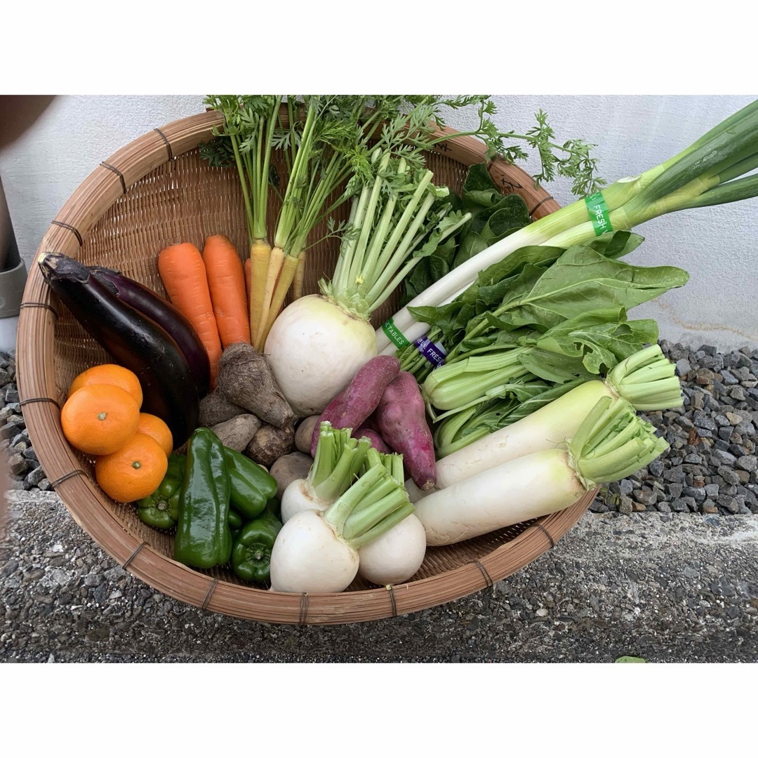 野菜、愛媛県産、朝どれ、無農薬野菜、セット 食品/飲料/酒の食品(野菜)の商品写真