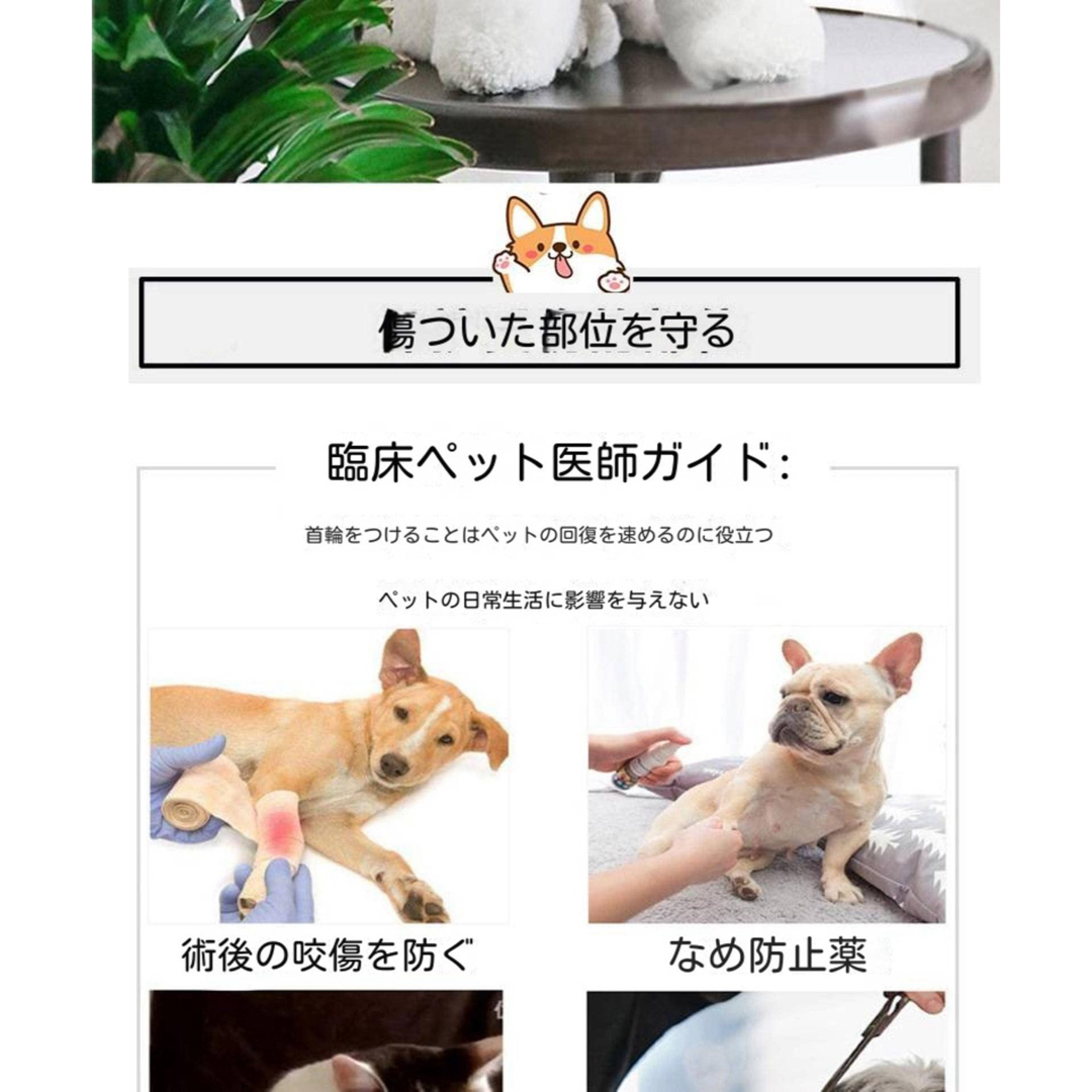 エリザベスリング猫首輪猫首輪犬首輪首輪猫猫ペット用品噛み付き防止舐め防止 その他のペット用品(猫)の商品写真