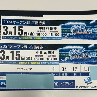 チュウニチドラゴンズ(中日ドラゴンズ)のバンテリンドーム　オープン戦　内野S  3塁側　通路側2席(野球)