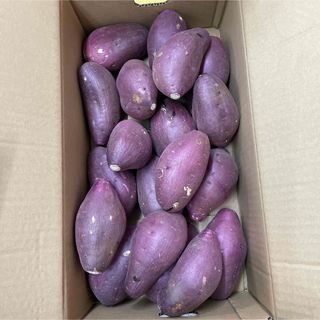 長崎県産 新じゃがいも にしゆたか B品 箱込み10キロの通販 by えー