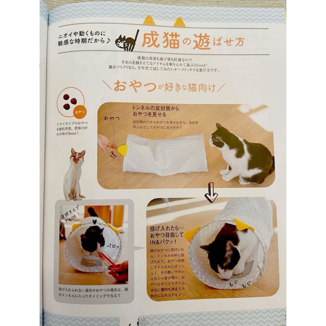 Benesse(ベネッセ)のねこのきもち最新号付録　カシャカシャ楽しい♪ねこ耳トンネル　猫　おもちゃ その他のペット用品(猫)の商品写真