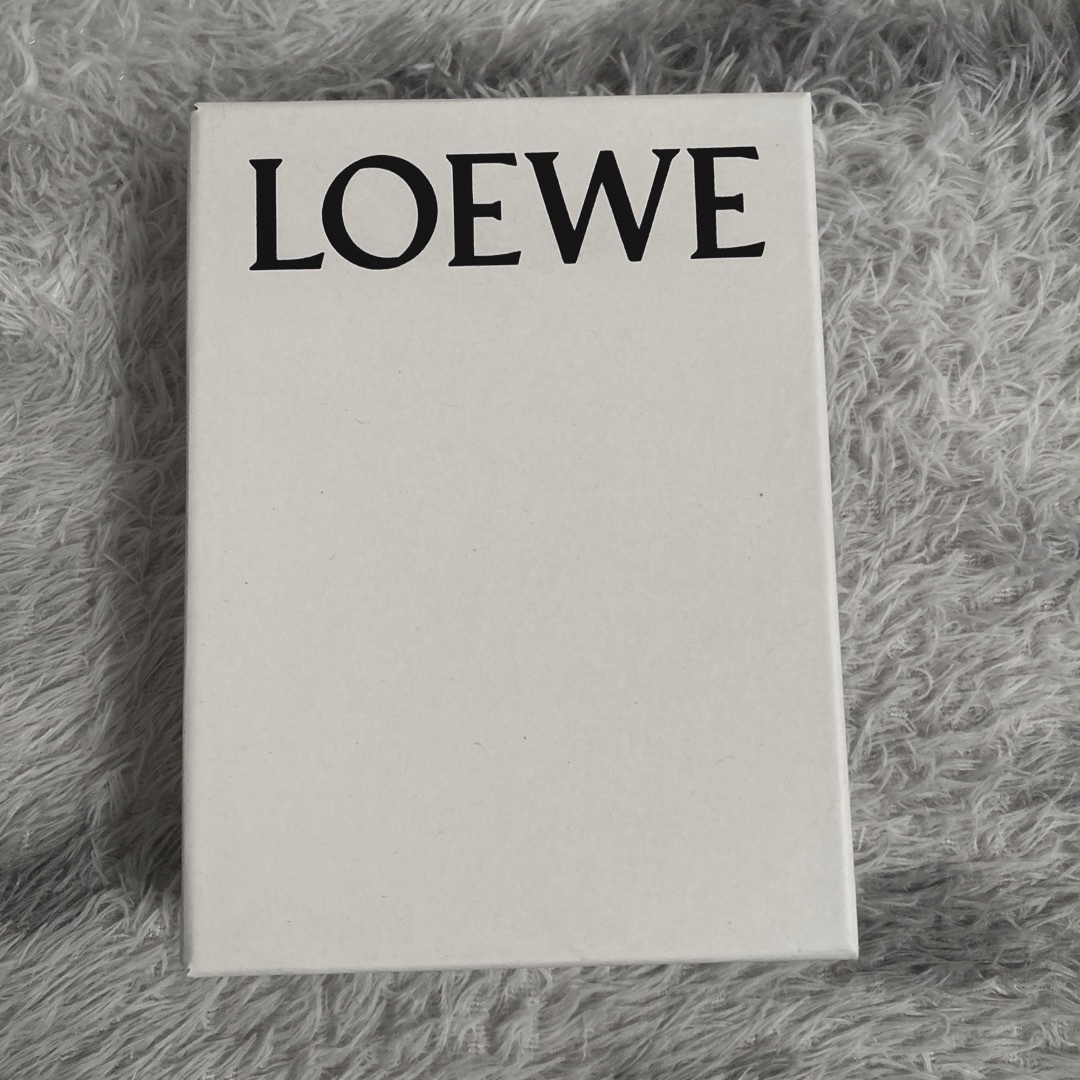 LOEWE(ロエベ)のロエベ　LOEWE  箱 小物入れ　 インテリア/住まい/日用品のインテリア小物(小物入れ)の商品写真