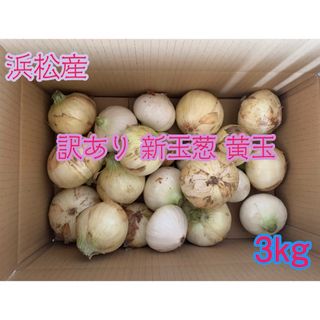 訳あり 新玉葱 新玉ねぎ 黄玉 静岡県浜松産 3kg(野菜)