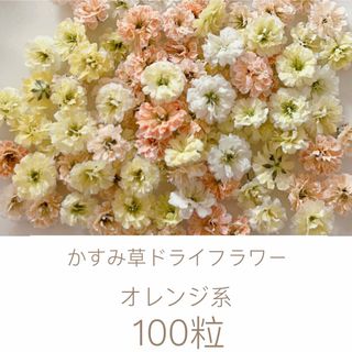 オレンジ系 かすみ草ドライフラワー100粒(ドライフラワー)