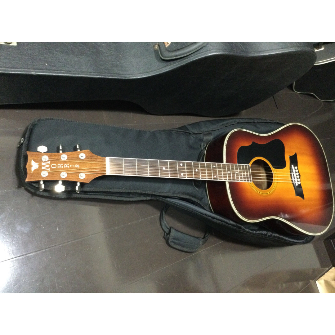 アコースティックギター　Morris 楽器のギター(アコースティックギター)の商品写真