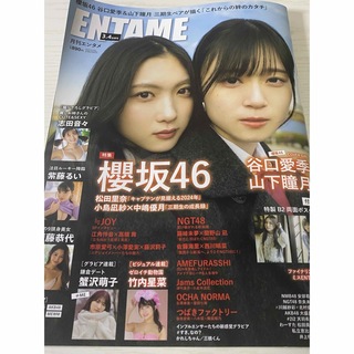 月刊ENTAME エンタメ 3•4月 合併号(その他)
