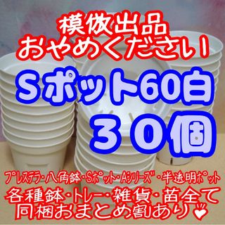 《Sポット60》白 30個 スリット鉢 プラ鉢 2号鉢相当 多肉植物 プレステラ(プランター)