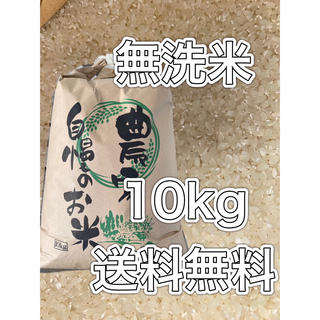 お米10kg 新米　無洗米　10キロ　米　ご飯(米/穀物)