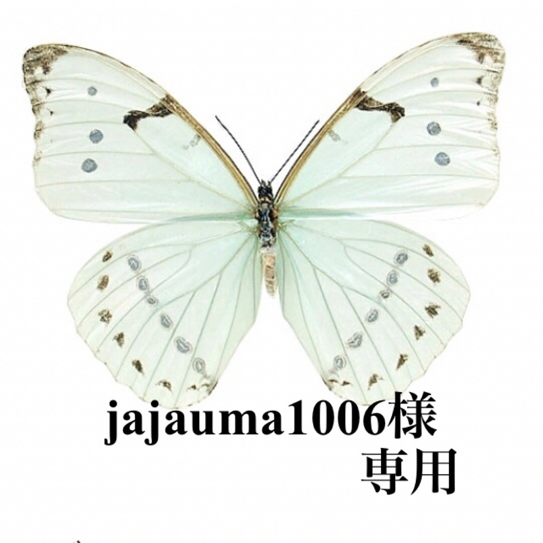 jajauma1006様　専用 ハンドメイドのぬいぐるみ/人形(その他)の商品写真