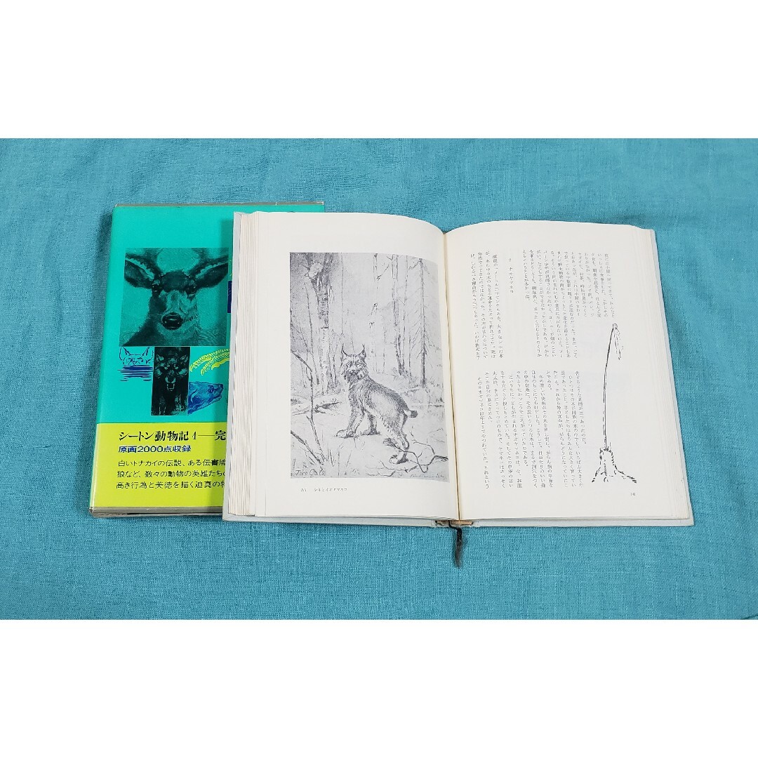 完全版　シートン動物記　4 エンタメ/ホビーの本(絵本/児童書)の商品写真