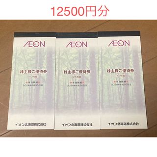 イオン(AEON)のイオン北海道 株主優待券 12500円分(その他)