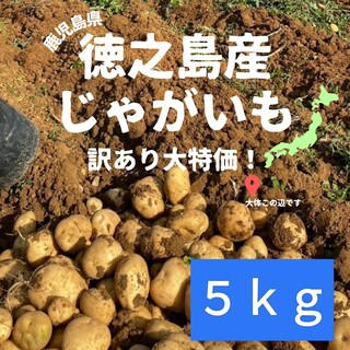 【産地直送】徳之島産　じゃがいも　ニシユタカ　ばれいしょ　5 kg　訳アリ(野菜)