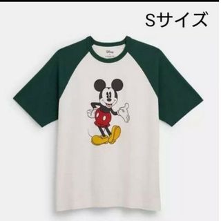 COACH - 新品 DISNEY X COACH ミッキーマウス Tシャツ 半袖 S 男女兼用 