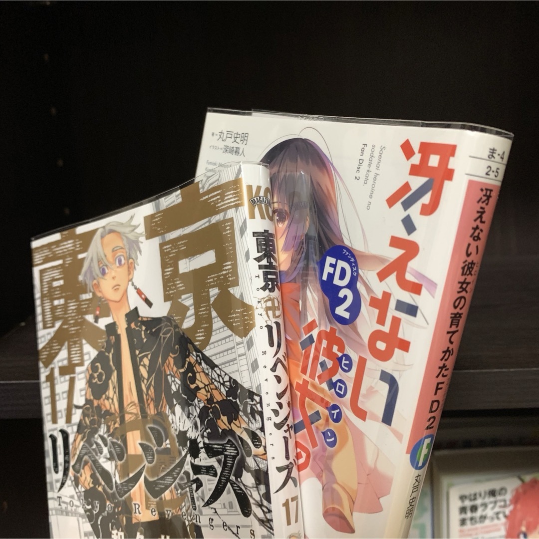 角川書店(カドカワショテン)のR2/クリアブックカバー 文庫本・ライトノベルサイズ セット エンタメ/ホビーの本(文学/小説)の商品写真