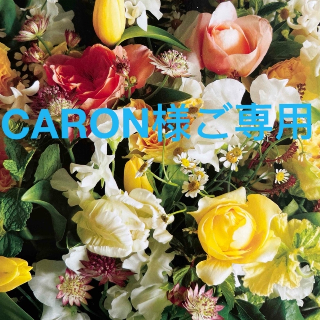 CARON様ご専用　訳あり　最高品質　11号リングホワイトシェル白蝶貝WG レディースのアクセサリー(リング(指輪))の商品写真