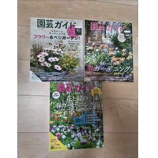 シュフノトモシャ(主婦の友社)の園芸ガイド 春号３冊セット(その他)