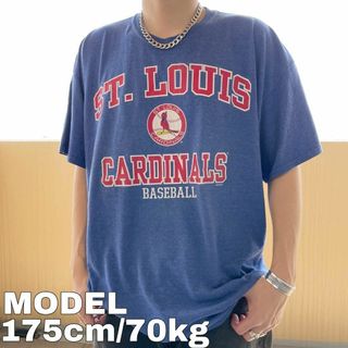 メジャーリーグベースボール(MLB)のMLB カージナルス アーチロゴプリントTシャツ 2XL ブルー 青 赤 白(Tシャツ/カットソー(半袖/袖なし))