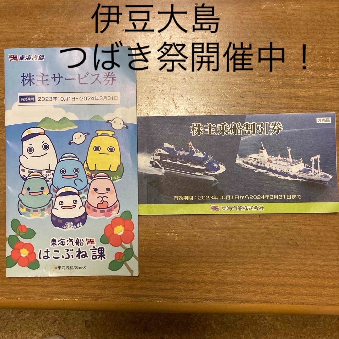 東海汽船　株主乗船割引券　株主サービス券　セット　株主優待 チケットの優待券/割引券(その他)の商品写真