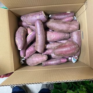 訳アリ　10キロ　紅はるかサイズ混合品(野菜)