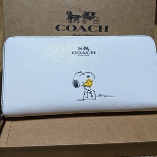 コーチレディース財布 | スヌーピー白 | COACH New York　箱と袋